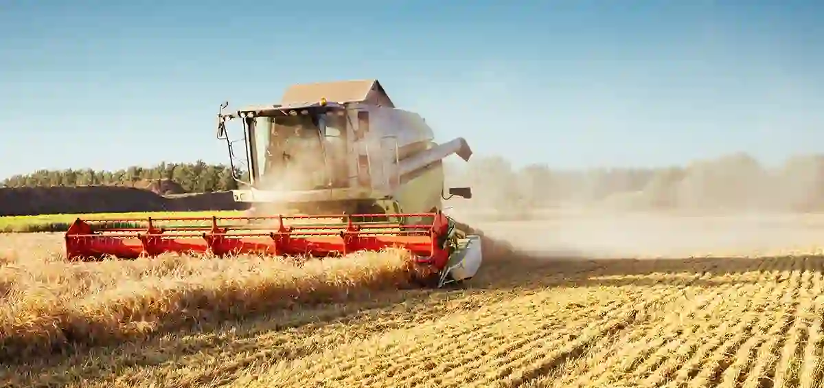 Harvesting & Storage