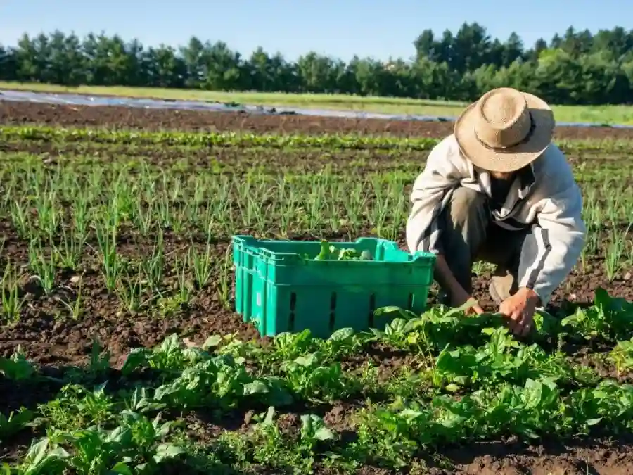Organic Farming Support